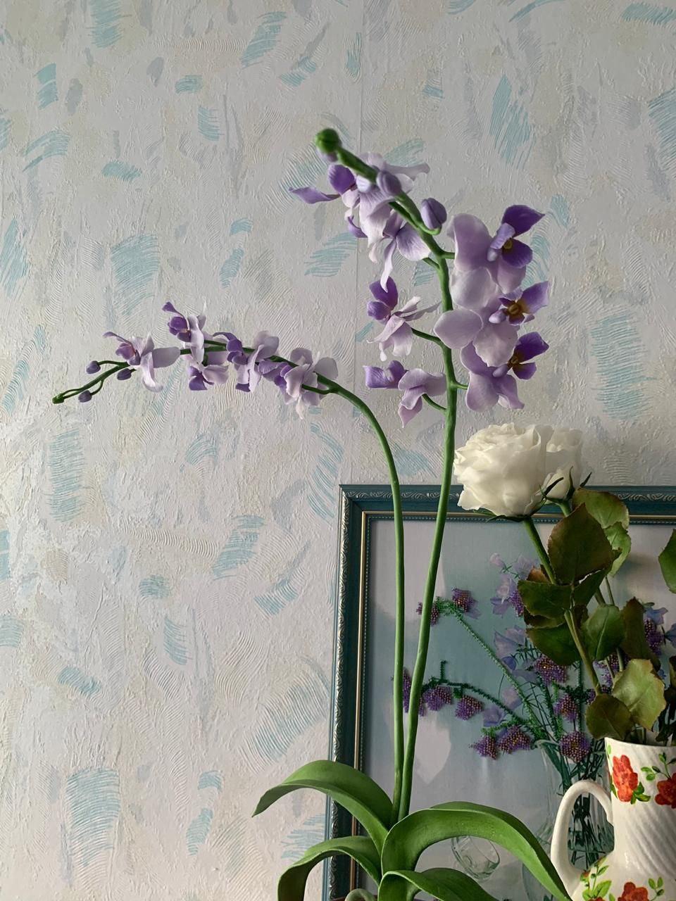 картинка Орхидея фиолетовая в горшке от магазина Одежда+